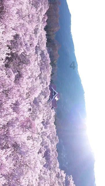 死神境界大冒险