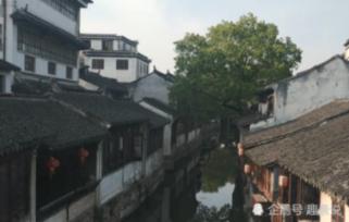 解救可爱的鸭子
